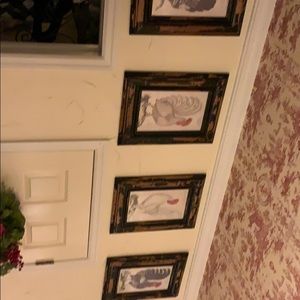 Set of 4 chicken/Rooster prints